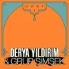 DERYA YILDIRIM & GRUP SIMSEK – dost 2 (CD, LP Vinyl)