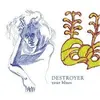 DESTROYER – your blues (CD)
