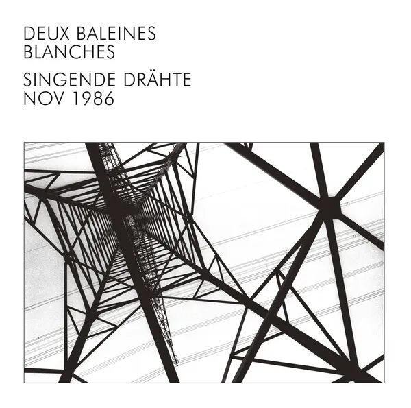 DEUX BALANES BLANCHES – singende drähte (LP Vinyl)
