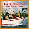 DIE TOTEN HOSEN – unter falscher flagge 1984-2024 (40 Jahre Edition) (LP Vinyl)
