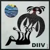 DIIV – oshin (CD)