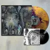 DINOSAUR JR. – there near - flight 13 exclusive (LP Vinyl)