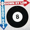 DOWN BY LAW – crazy days (LP Vinyl)