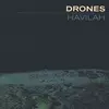 DRONES – havilah (LP Vinyl)