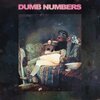 DUMB NUMBERS – II (LP Vinyl)