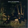 ECHO & THE BUNNYMEN – evergreen (25th anniversary) (CD)