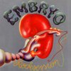 EMBRYO – rocksession (LP Vinyl)