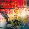EMMA POLLOCK – begging the night to hold (CD, LP Vinyl)