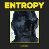 ENTROPY – liminal (CD)