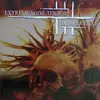 EXTREME NOISE TERROR/DRILLER KILLER – split (LP Vinyl)