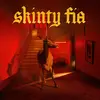 FONTAINES D.C. – skinty fia (CD, LP Vinyl)