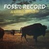 FOSSIL RECORD – a little weight (CD, LP Vinyl)