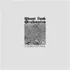 GHOST FUNK ORCHESTRA – a song for paul (CD, LP Vinyl)