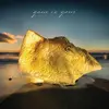 GONE IS GONE – echolocation (CD, LP Vinyl)