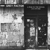 GREY FACTOR – a peak in the signal (live 1979-1980) (LP Vinyl)