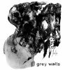 GREY WALLS – asche (LP Vinyl)