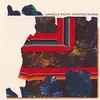 GRIZZLY BEAR – painted ruins (LP Vinyl)