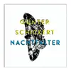 GÜNTER SCHICKERT – nachtfalter (CD, LP Vinyl)