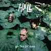 HALL – last days of youth (LP Vinyl)