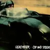 HEATMISER – cop and speeder (LP Vinyl)