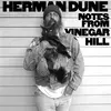 HERMAN DUNE – notes from vinegar hill (CD, LP Vinyl)