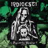 INDIGESTI – sguardo realta (LP Vinyl)