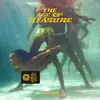 JANELLE MONÁE – the age of pleasure (LP Vinyl)