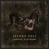 JETHRO TULL – curious ruminant (CD, LP Vinyl)