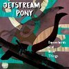 JETSTREAM PONY – bowerbirds and blue things (CD, LP Vinyl)