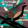 JETSTREAM PONY – bowerbirds and blue things (CD, LP Vinyl)