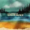 JOHN VANDERSLICE – dagger beach (LP Vinyl)