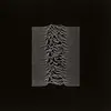 JOY DIVISION – unknown pleasures (CD, LP Vinyl)