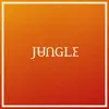 JUNGLE – volcano (CD, Kassette, LP Vinyl)