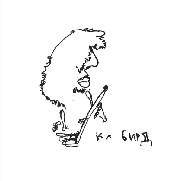 KA BAIRD – saprodelic picnic (LP Vinyl)