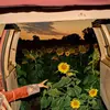 KEVIN MORBY – little wide open (CD, LP Vinyl)