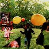 KITES – royal paint... (CD)