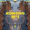 KONONO NO. 1 – assume crash position (CD)
