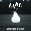 LAKE – bucolic gone (LP Vinyl)