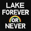 LAKE – forever or never (CD, LP Vinyl)