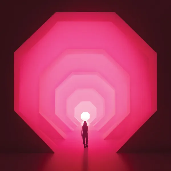 LAPALUX – amnioverse (CD, LP Vinyl)