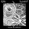 LIFE / DESTRUCT – to stop the conflict (LP Vinyl)