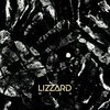 LIZZARD – mesh (CD, LP Vinyl)