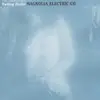 MAGNOLIA ELECTRIC CO. – fading trails (LP Vinyl)