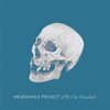 MEANWHILE PROJECT LTD – sir mandrill (CD, LP Vinyl)