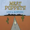 MEAT PUPPETS – live in montana (LP Vinyl)