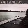 MONO & A.A. WILLIAMS – exit in darkness (10" Vinyl)