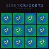 NIGHT CRICKETS – a free society (CD, LP Vinyl)