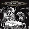 OKKERVIL RIVER – black sheep boy (LP Vinyl)