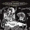 OKKERVIL RIVER – black sheep boy (LP Vinyl)