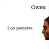 OWEN – i do perceive (LP Vinyl)